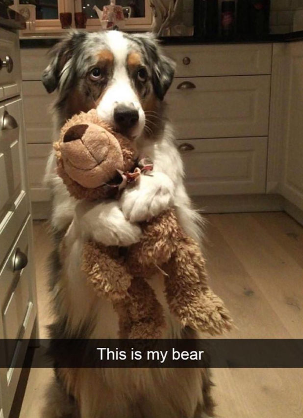 This is my bear