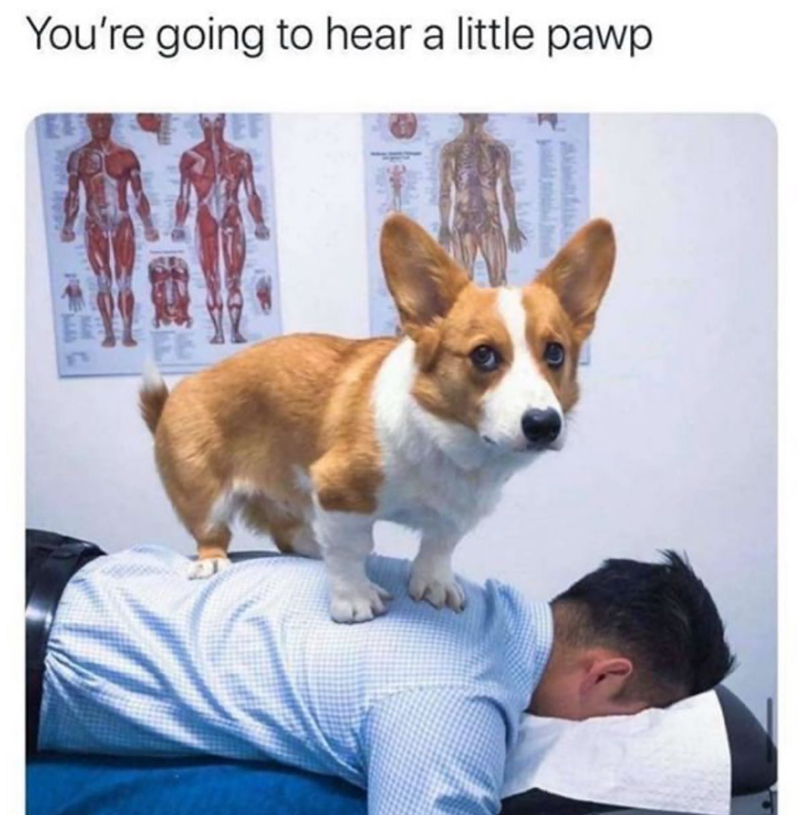 You're going to hear a little pawp