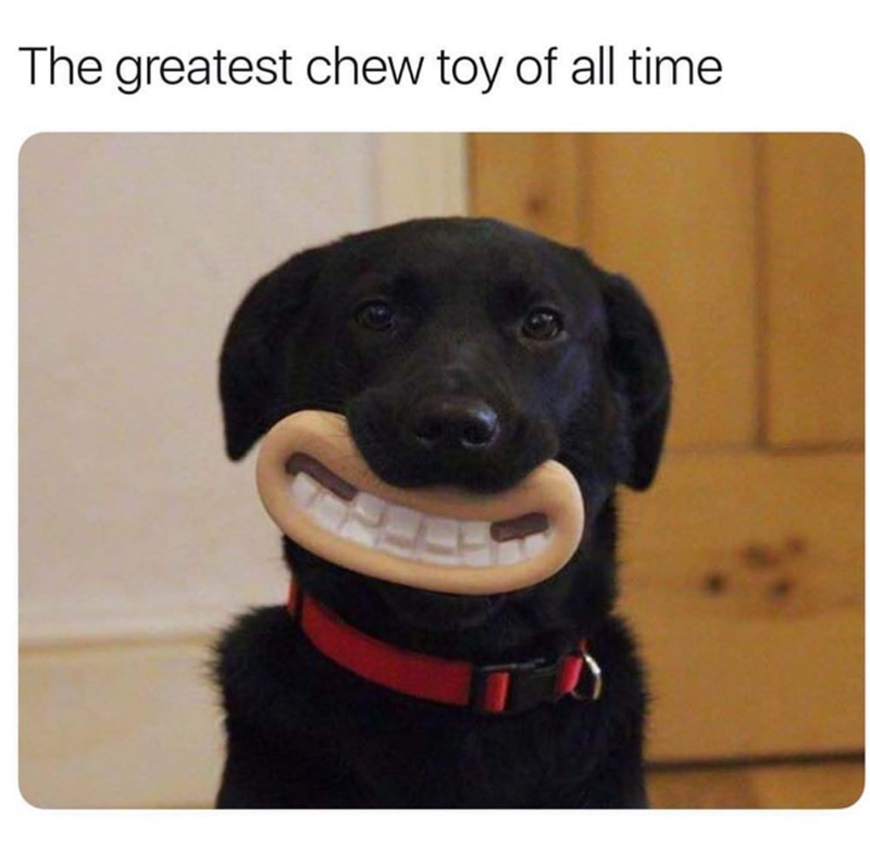 The greatest chew toy of all time