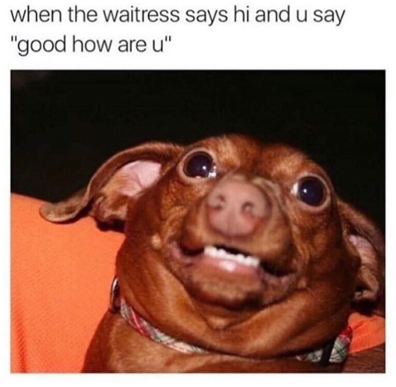 when the waitress says hi and u say "good how are u"