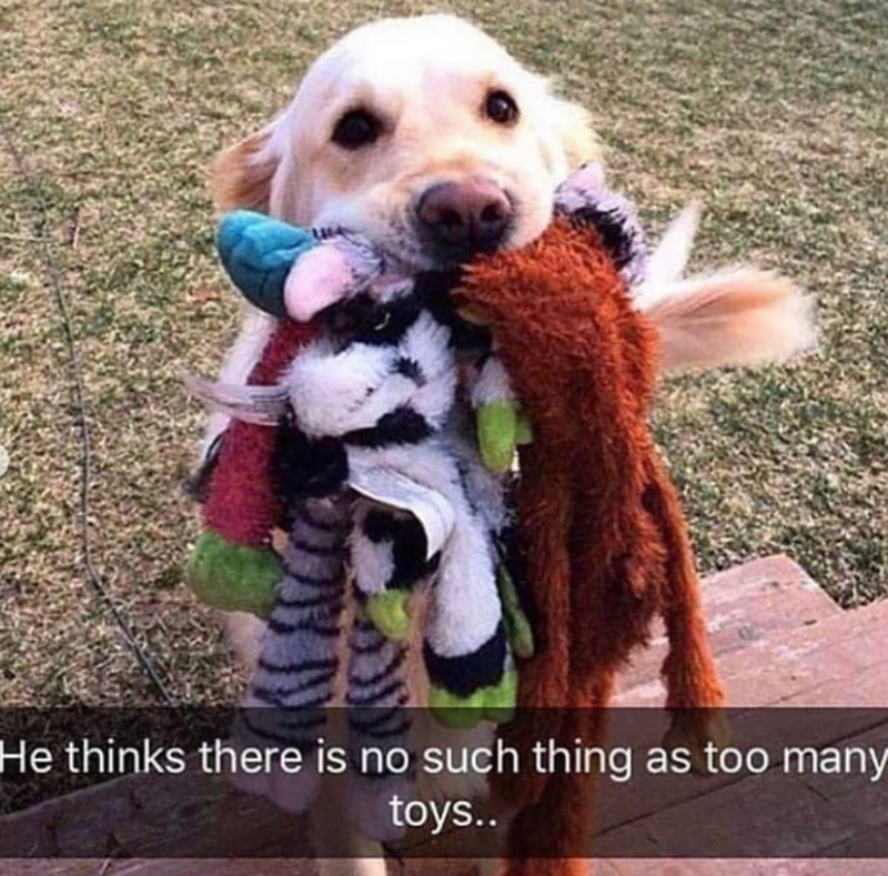 He thinks there is no such thing as too many toys..