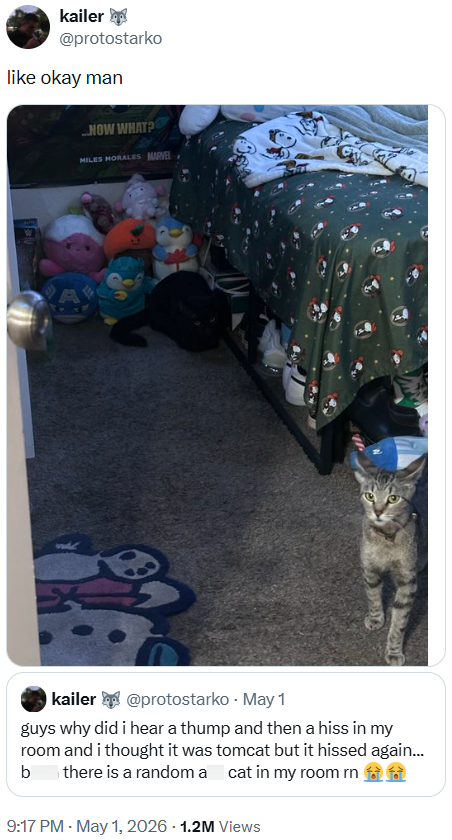 kailer @protostarko like okay man NOW WHAT? MILES MORALES MARVEL kailer @protostarko - May 1 guys why did i hear a thump and then a hiss in my room and i thought it was tomcat but it hissed again... b there is a random a cat in my room rn 9:17 PM - May 1, 2026 -1.2M Views