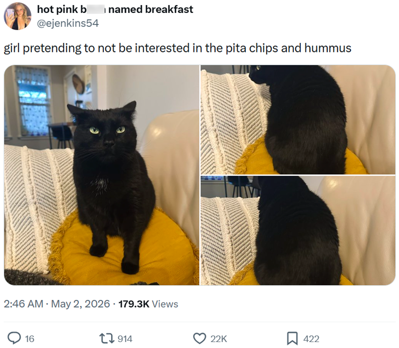 hot pink b named breakfast @ejenkins54 girl pretending to not be interested in the pita chips and hummus 1377937 • 2:46 AM · May 2, 2026 179.3K Views 16 914 22K ☐ 422