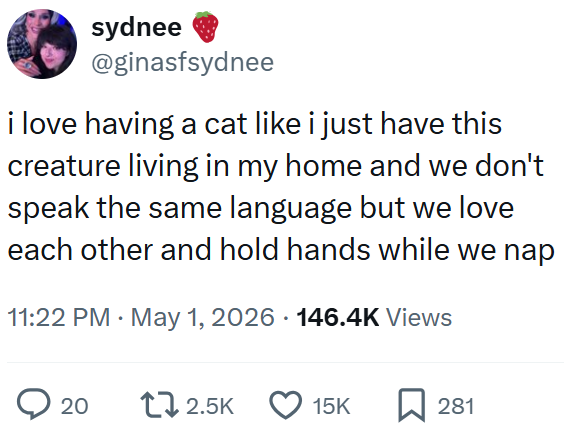 sydnee @ginasfsydnee i love having a cat like i just have this creature living in my home and we don't speak the same language but we love each other and hold hands while we nap 11:22 PM • May 1, 2026 146.4K Views ◇ 20 12.5K 15K ☐ 281