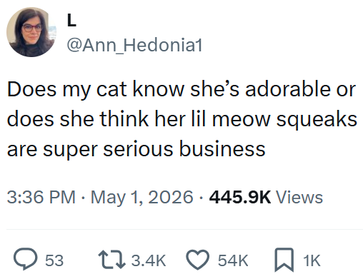 L @Ann_Hedonia1 Does my cat know she's adorable or does she think her lil meow squeaks are super serious business 3:36 PM May 1, 2026 445.9K Views > 53 13.4K 54K 1K