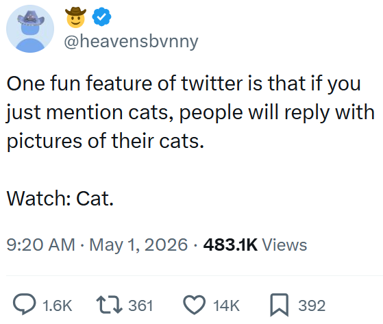 @heavensbvnny One fun feature of twitter is that if you just mention cats, people will reply with pictures of their cats. Watch: Cat. . 9:20 AM May 1, 2026 483.1K Views 1.6K 361 14K 392