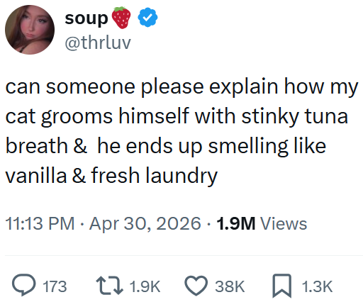 soup @thrluv can someone please explain how my cat grooms himself with stinky tuna breath & he ends up smelling like vanilla & fresh laundry 11:13 PM Apr 30, 2026 1.9M Views 173 1.9K 38K ☐ 1.3K