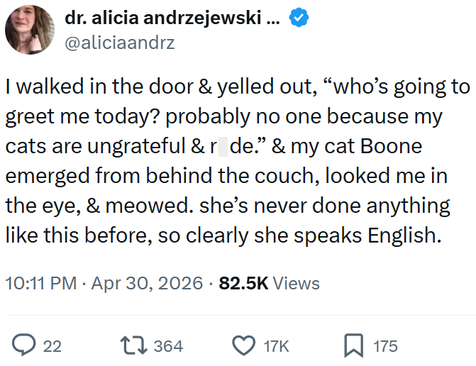 dr. alicia andrzejewski ... @aliciaandrz I walked in the door & yelled out, “who's going to greet me today? probably no one because my cats are ungrateful & r_de.” & my cat Boone emerged from behind the couch, looked me in the eye, & meowed. she's never done anything like this before, so clearly she speaks English. 10:11 PM Apr 30, 2026 82.5K Views 22 17364 17K ☐ 175