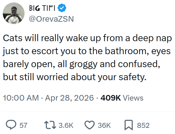 BIG TIMI @OrevaZSN Cats will really wake up from a deep nap just to escort you to the bathroom, eyes barely open, all groggy and confused, but still worried about your safety. 10:00 AM Apr 28, 2026 409K Views > 57 17 3.6K 36K 852