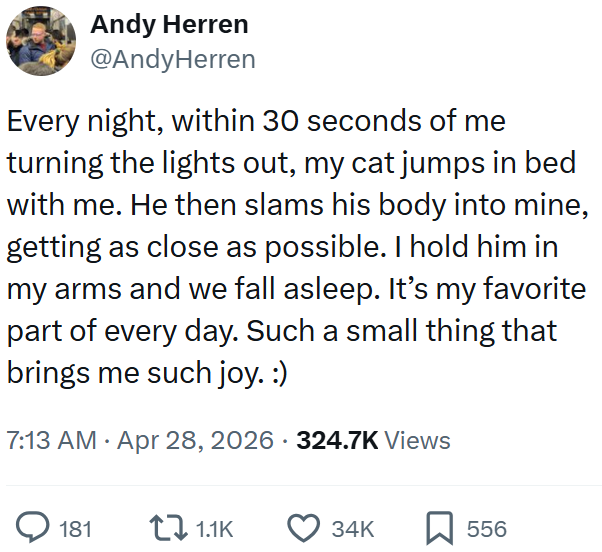 Andy Herren @AndyHerren Every night, within 30 seconds of me turning the lights out, my cat jumps in bed with me. He then slams his body into mine, getting as close as possible. I hold him in my arms and we fall asleep. It's my favorite part of every day. Such a small thing that brings me such joy. :) 7:13 AM ⚫ Apr 28, 2026 324.7K Views 181 1.1K 34K 556