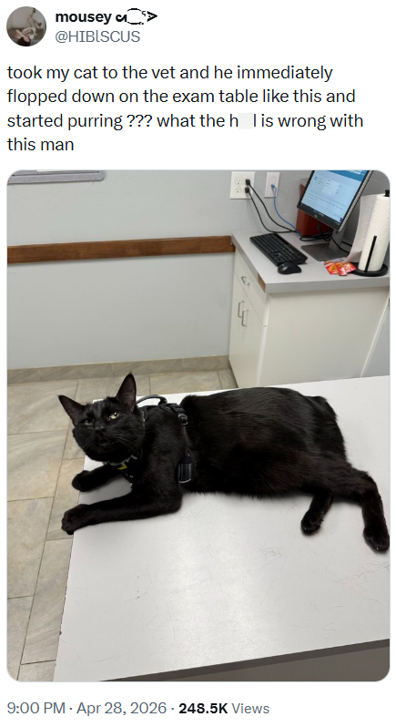 mousey > @HIBISCUS took my cat to the vet and he immediately flopped down on the exam table like this and started purring ??? what the h is wrong with this man 9:00 PM - Apr 28, 2026 - 248.5K Views