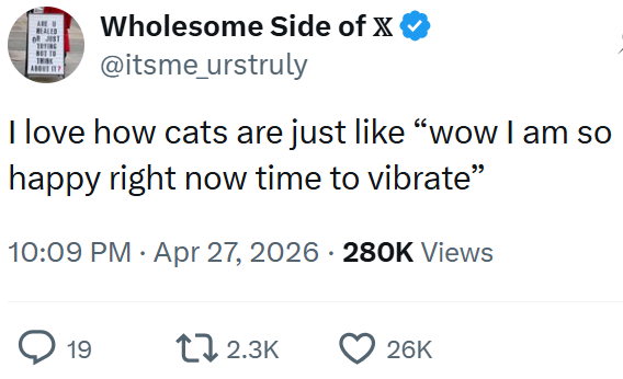 ARE U Wholesome Side of X @itsme_urstruly I love how cats are just like "wow I am so happy right now time to vibrate" 10:09 PM Apr 27, 2026 - 280K Views 19 17 2.3K 26K