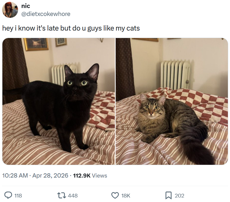 nic @dietxcokewhore hey i know it's late but do u guys like my cats 10:28 AM Apr 28, 2026 112.9K Views 118 448 18K 202