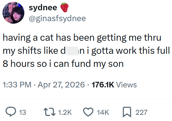 sydnee @ginasfsydnee having a cat has been getting me thru my shifts like dni gotta work this full 8 hours so i can fund my son 1:33 PM Apr 27, 2026 176.1K Views 13 1.2K 14K 227