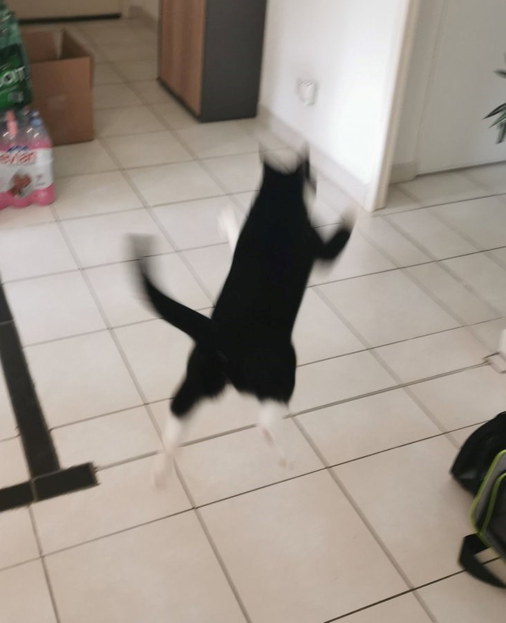 OIT