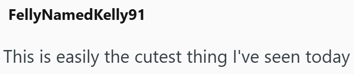 FellyNamed Kelly91 This is easily the cutest thing I've seen today