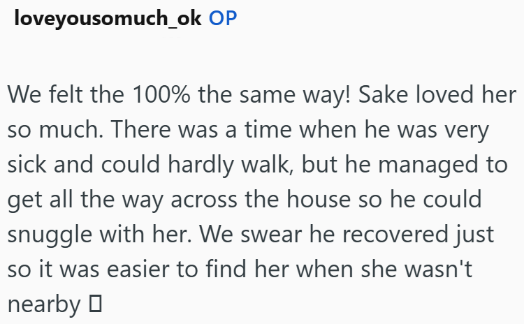 loveyousomuch_ok OP We felt the 100% the same way! Sake loved her so much. There was a time when he was very sick and could hardly walk, but he managed to get all the way across the house so he could snuggle with her. We swear he recovered just so it was easier to find her when she wasn't nearby ☐