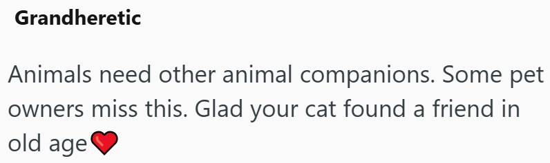 Grandheretic Animals need other animal companions. Some pet owners miss this. Glad your cat found a friend in old age