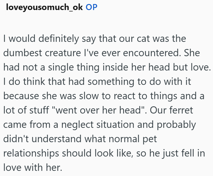 loveyousomuch_ok OP I would definitely say that our cat was the dumbest creature I've ever encountered. She had not a single thing inside her head but love. I do think that had something to do with it because she was slow to react to things and a lot of stuff "went over her head". Our ferret came from a neglect situation and probably didn't understand what normal pet relationships should look like, so he just fell in love with her.