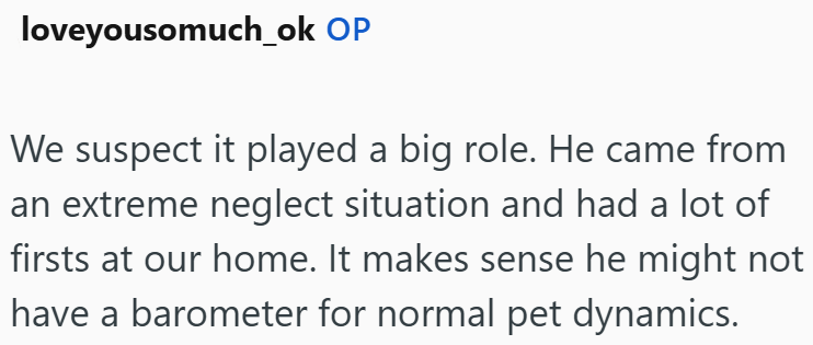 loveyousomuch_ok OP We suspect it played a big role. He came from an extreme neglect situation and had a lot of firsts at our home. It makes sense he might not have a barometer for normal pet dynamics.
