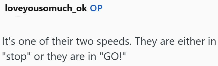 loveyousomuch_ok OP It's one of their two speeds. They are either in "stop" or they are in "GO!"