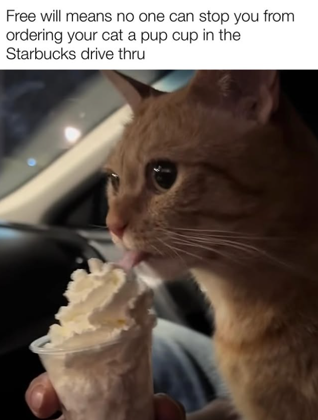Free will means no one can stop you from ordering your cat a pup cup in the Starbucks drive thru