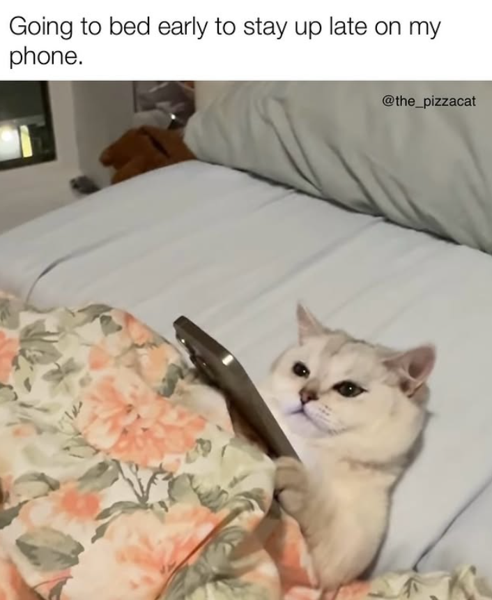 Going to bed early to stay up late on my phone. @the_pizzacat