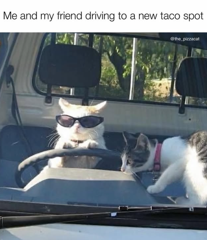 Me and my friend driving to a new taco spot @the_pizzacat