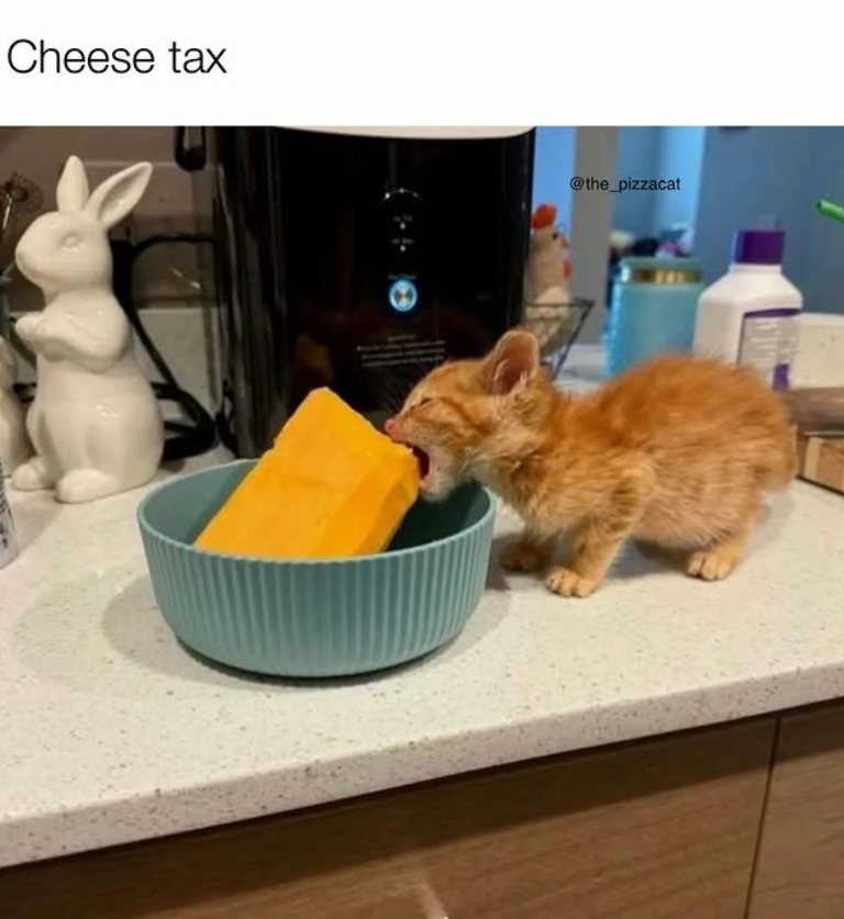 Cheese tax @the_pizzacat