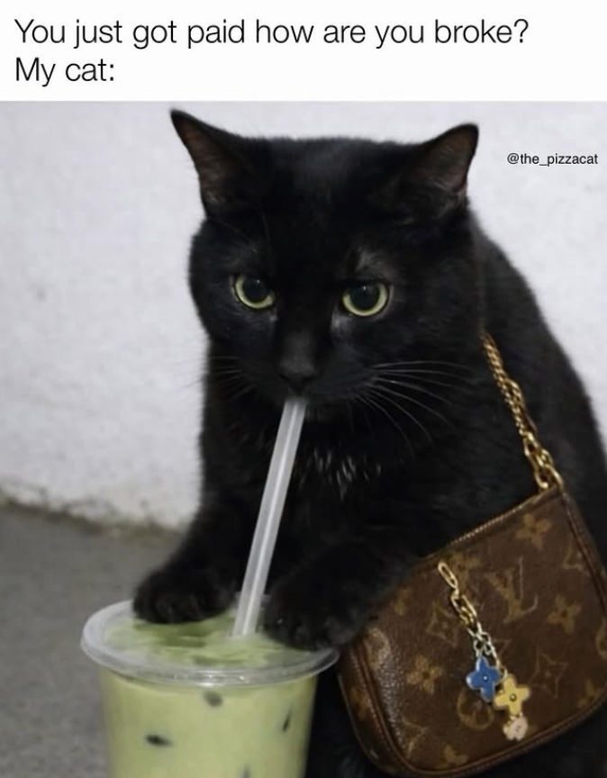 You just got paid how are you broke? My cat: @the_pizzacat