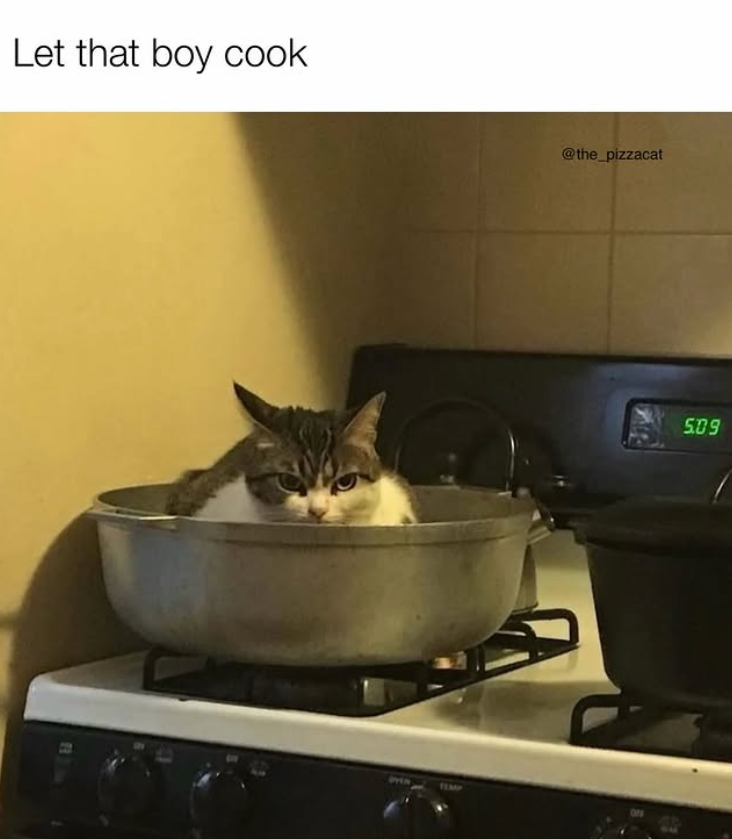 Let that boy cook TEMP @the_pizzacat 5.09