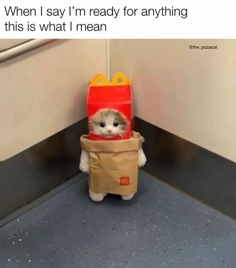 When I say I'm ready for anything this is what I mean @the_pizzacat