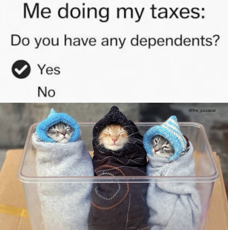 Me doing my taxes: Do you have any dependents? Yes No @the_pizzacat