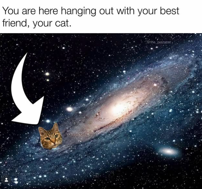 You are here hanging out with your best friend, your cat. @the_pizzacat