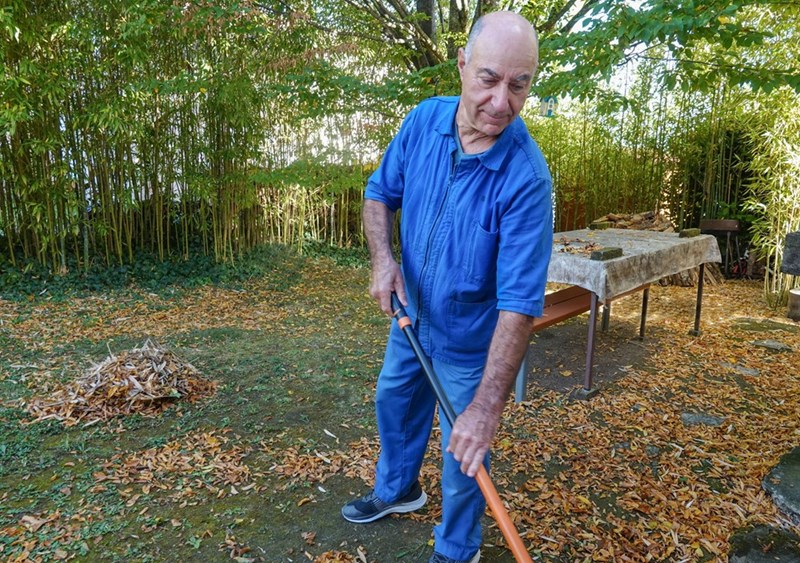 Older man raking fallen leaves in backyard garden during outdoor yard work.