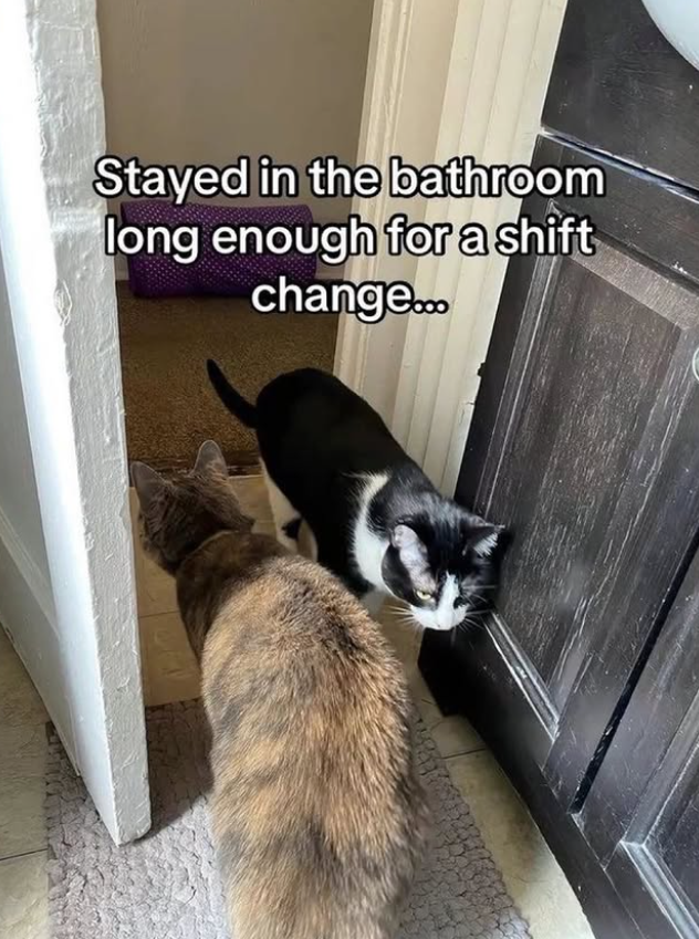 Stayed in the bathroom long enough for a shift change...