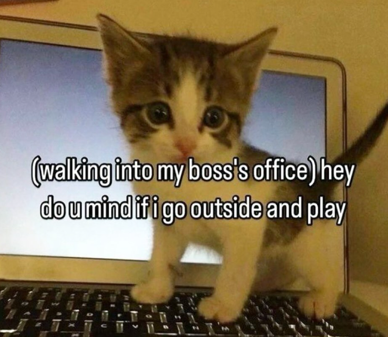 (walking into my boss's office) hey dou mind if i go outside and play