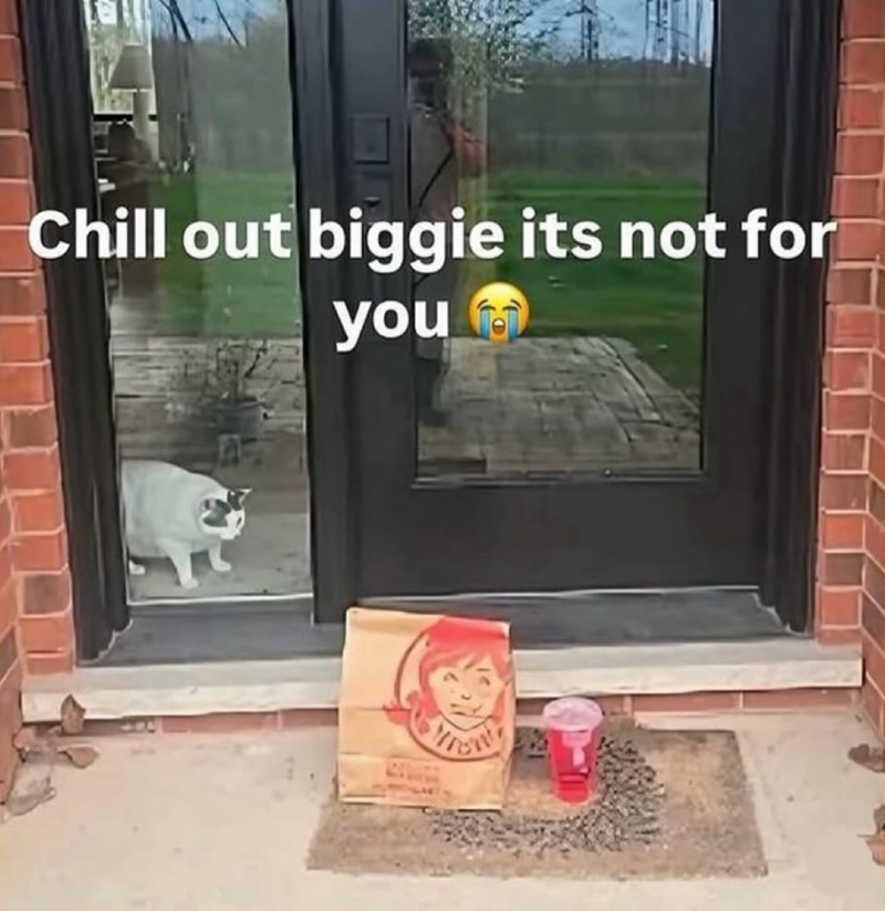 Chill out biggie its not for you