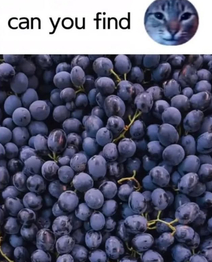 can you find