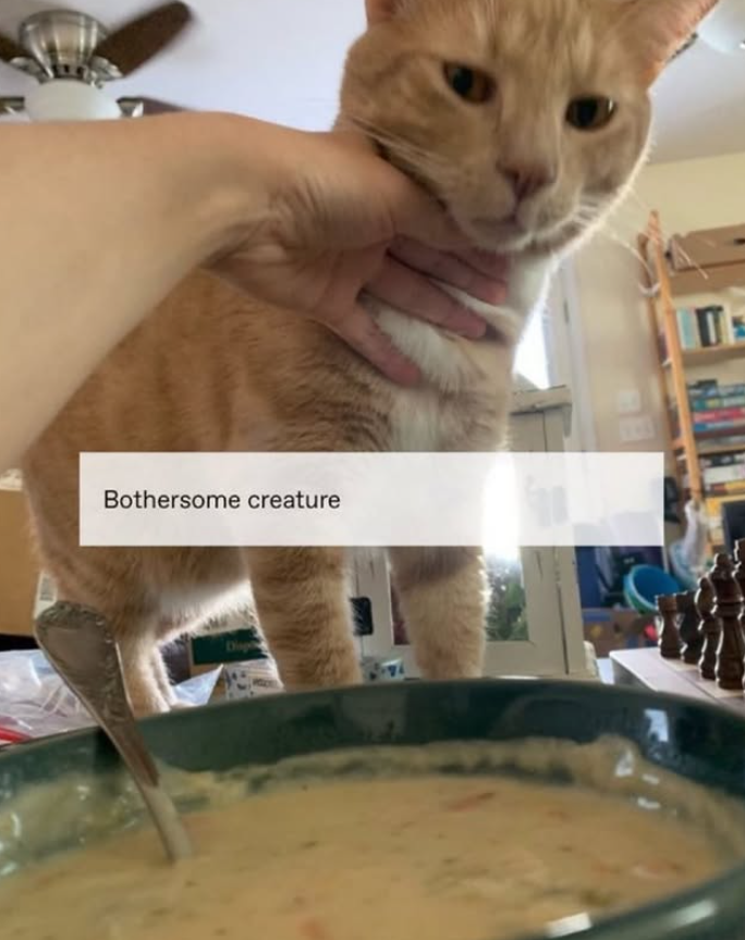 Bothersome creature