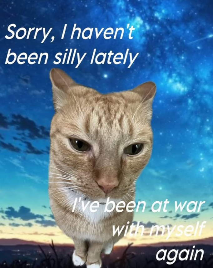 Sorry, I haven't been silly lately I've been at war with myself again