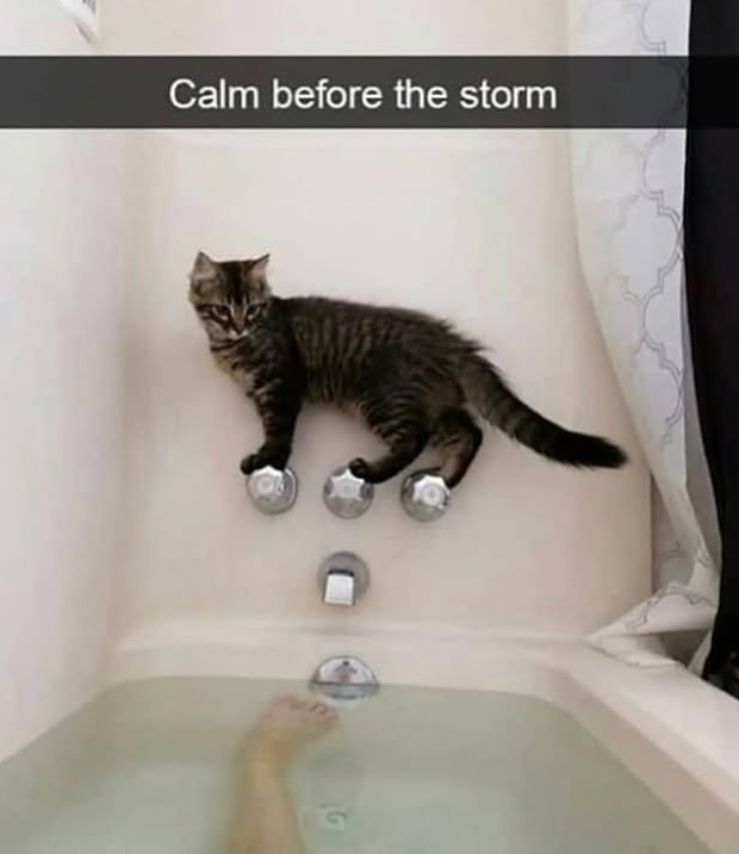 Calm before the storm
