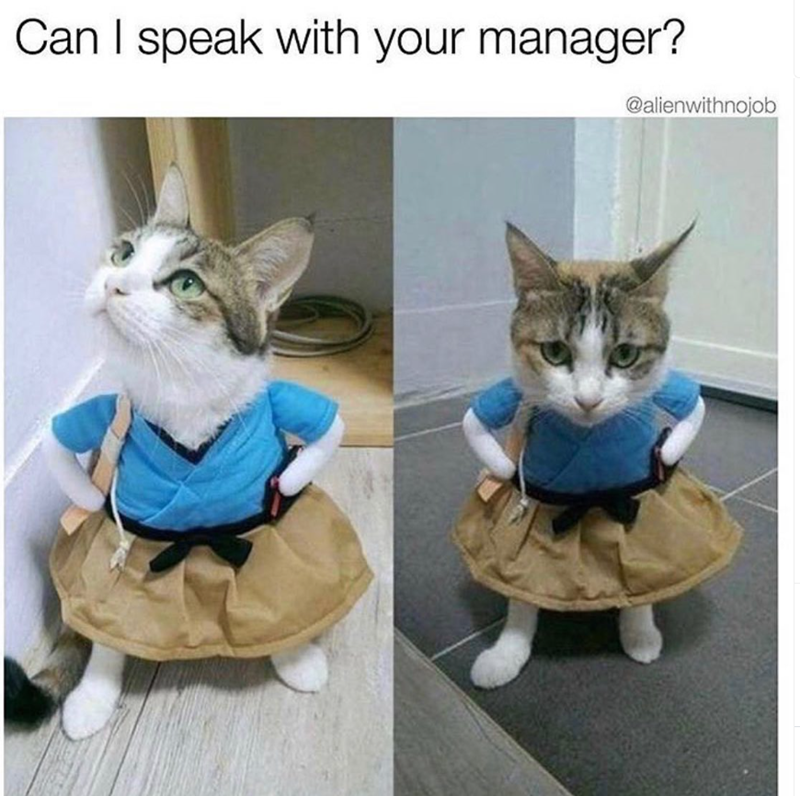Can I speak with your manager? @alienwithnojob