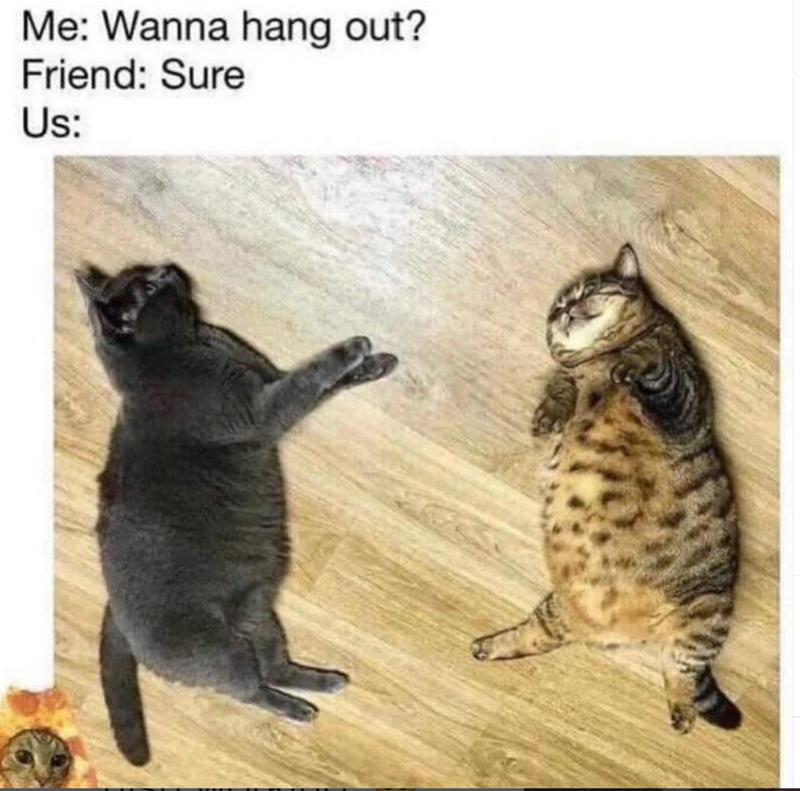 Me: Wanna hang out? Friend: Sure Us: