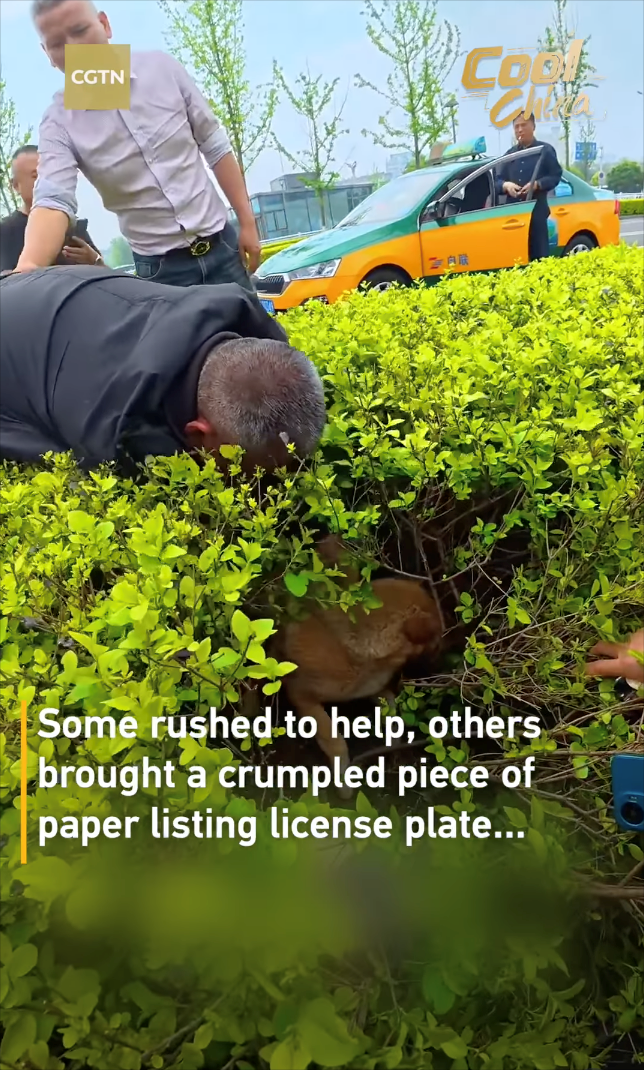 CGTN- Coo Some rushed to help, others brought a crumpled piece of paper listing license plate...