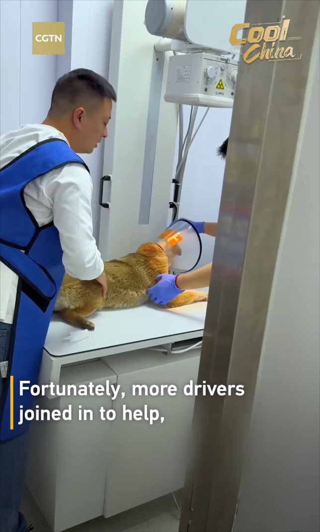CGTN Cool China Fortunately, more drivers joined in to help,