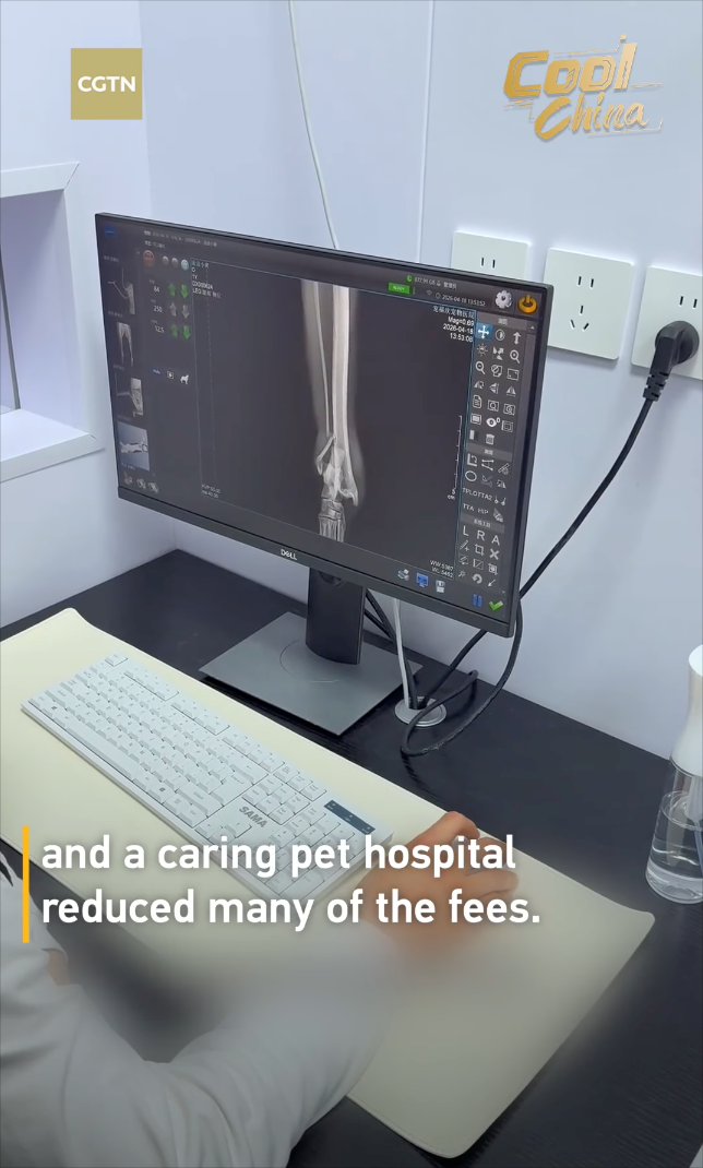 CGTN 125 28 738 SAMA Cool China Mag 135308 டு II * Q O'B 849 TPLOTTAR TTA HP LRA PRE and a caring pet hospital reduced many of the fees.