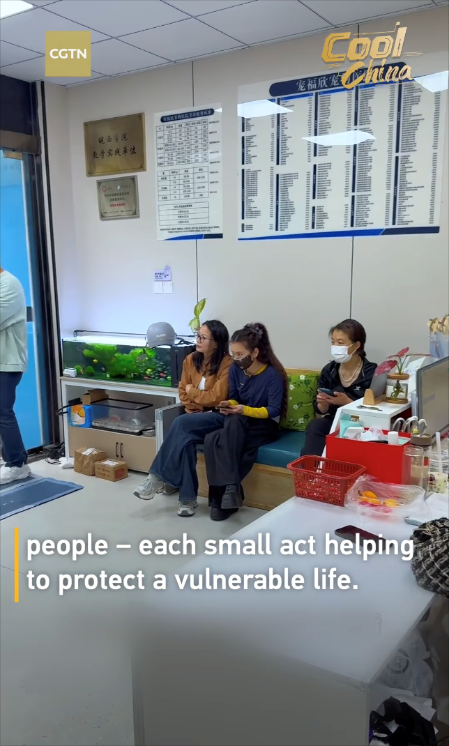 CGTN 皖西学院 教学实线单位 Om þ VARENURISMOGE Cool TEHNOTE Anina people - each small act helping to protect a vulnerable life.