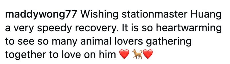 maddywong77 Wishing stationmaster Huang a very speedy recovery. It is so heartwarming to see so many animal lovers gathering together to love on him