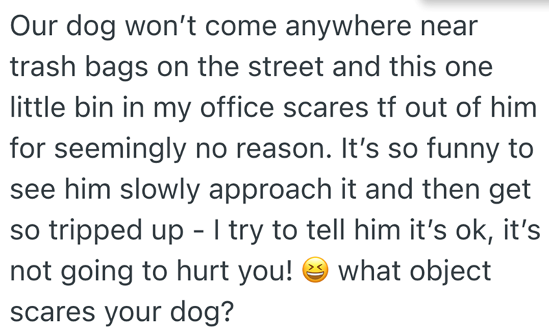 Our dog won't come anywhere near trash bags on the street and this one little bin in my office scares tf out of him for seemingly no reason. It's so funny to see him slowly approach it and then get so tripped up - I try to tell him it's ok, it's not going to hurt you! what object scares your dog?